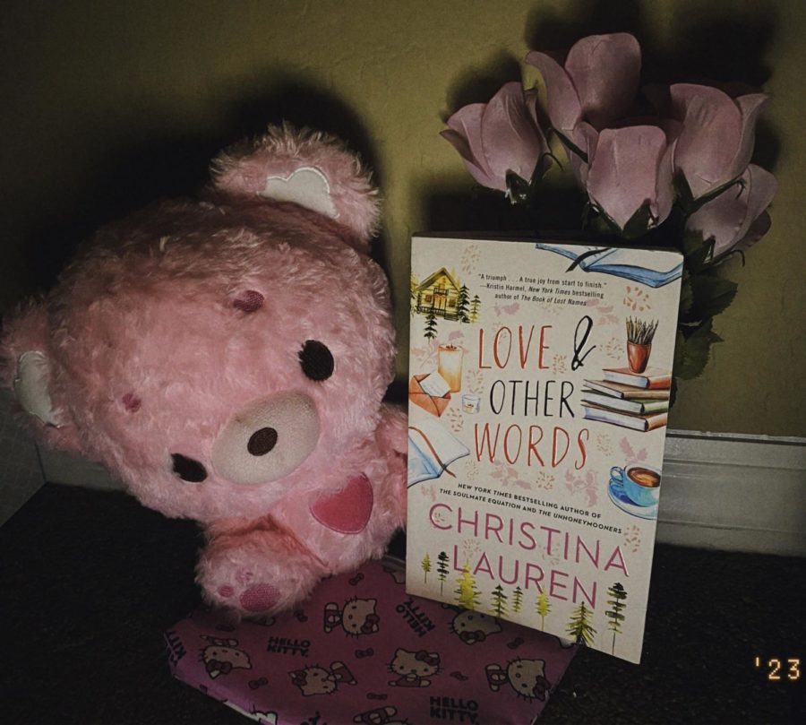 Picture of the novel Love & Other Words