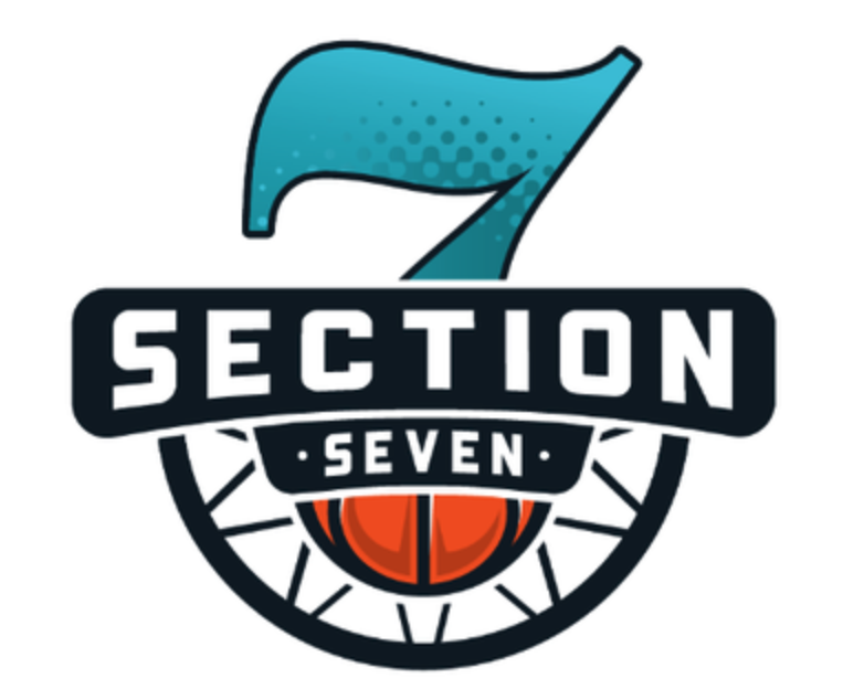 Section 7 Logo 