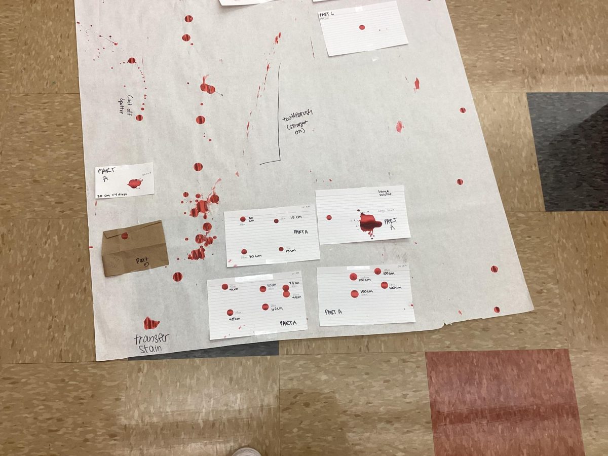 Two students' project in first period. 