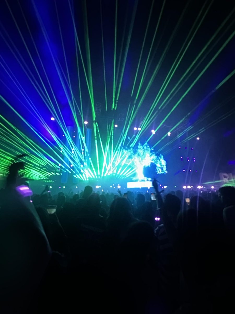 Rise Festival 