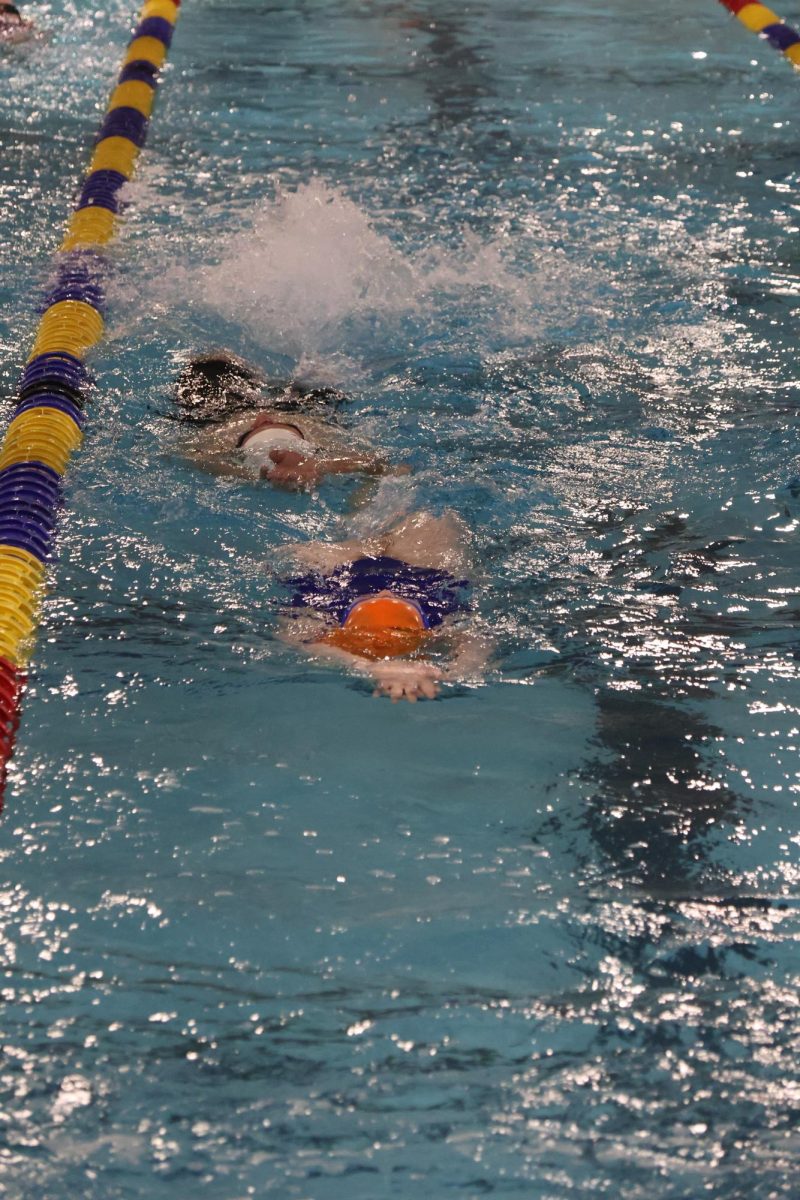 Gorman swimmers performing backstroke.